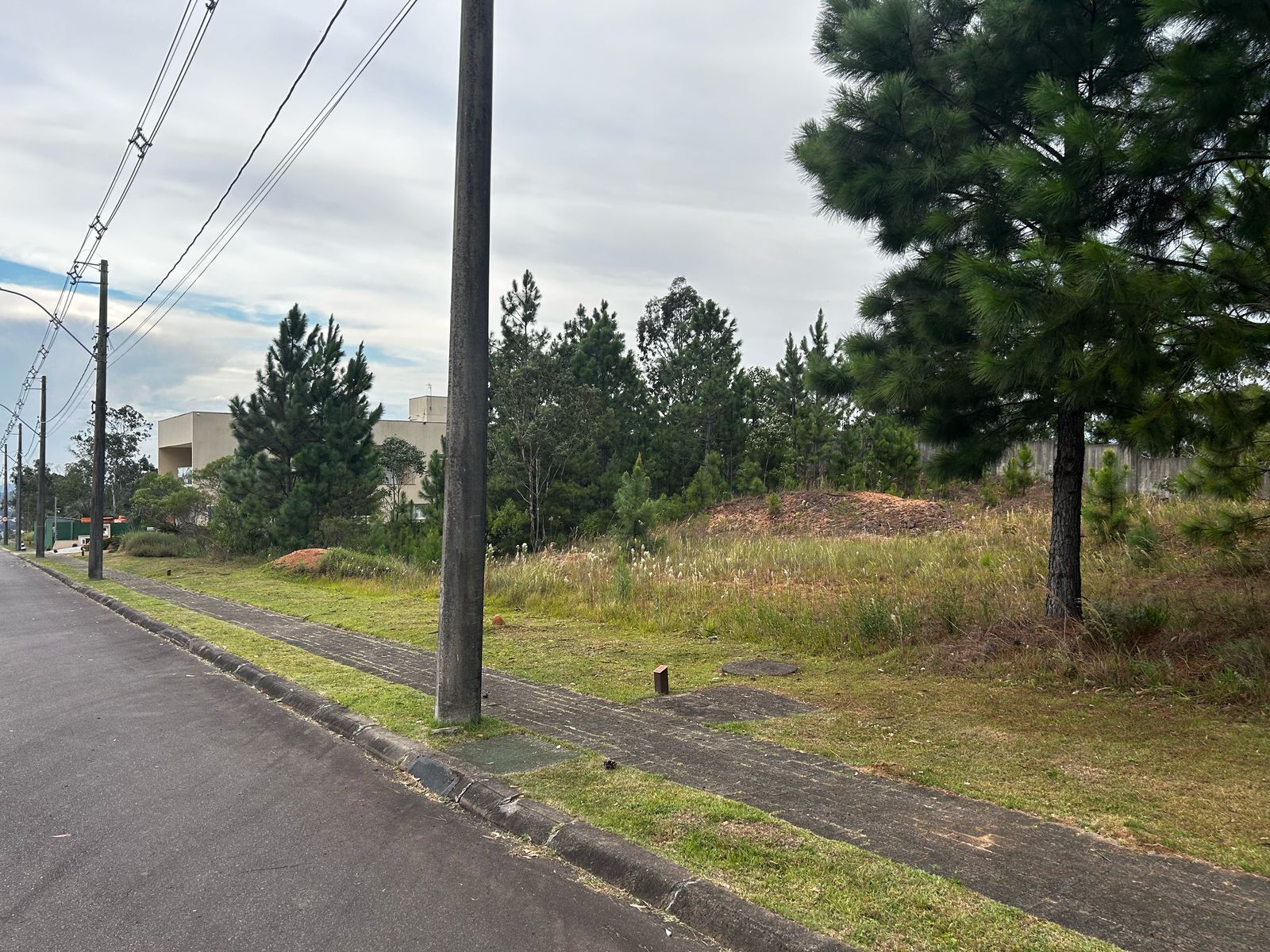 Terreno à venda, 1234m² - Foto 2