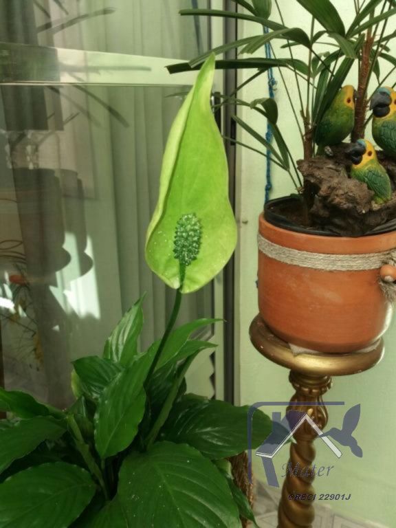 Casa, 3 quartos, 83 m² - Foto 10