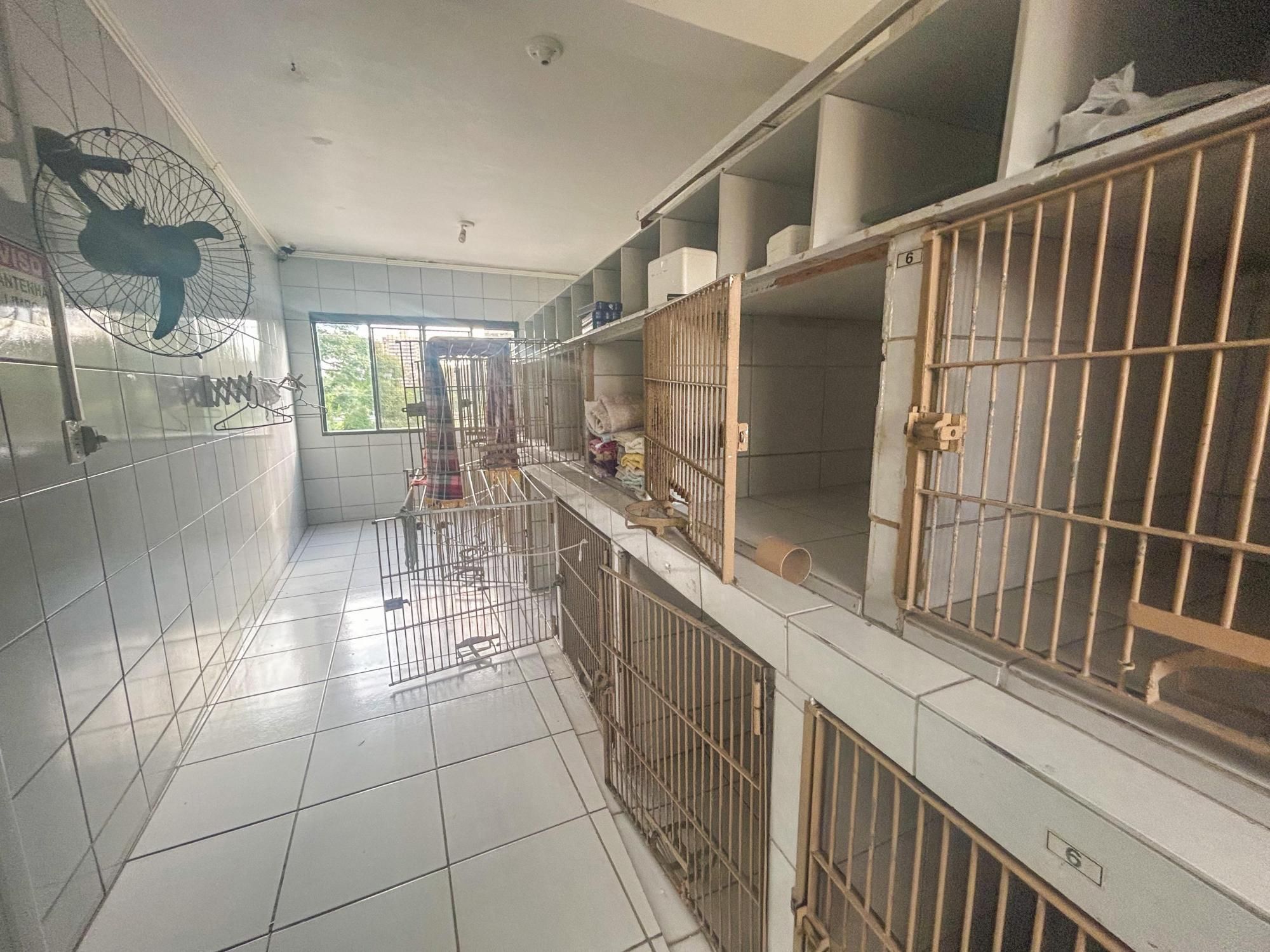Prédio Inteiro à venda com 15 quartos, 475m² - Foto 26
