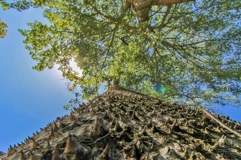 Apartamento, 2 quartos, 63 m² - Foto 19