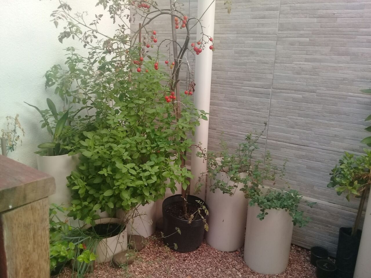 Casa à venda com 3 quartos, 177m² - Foto 9