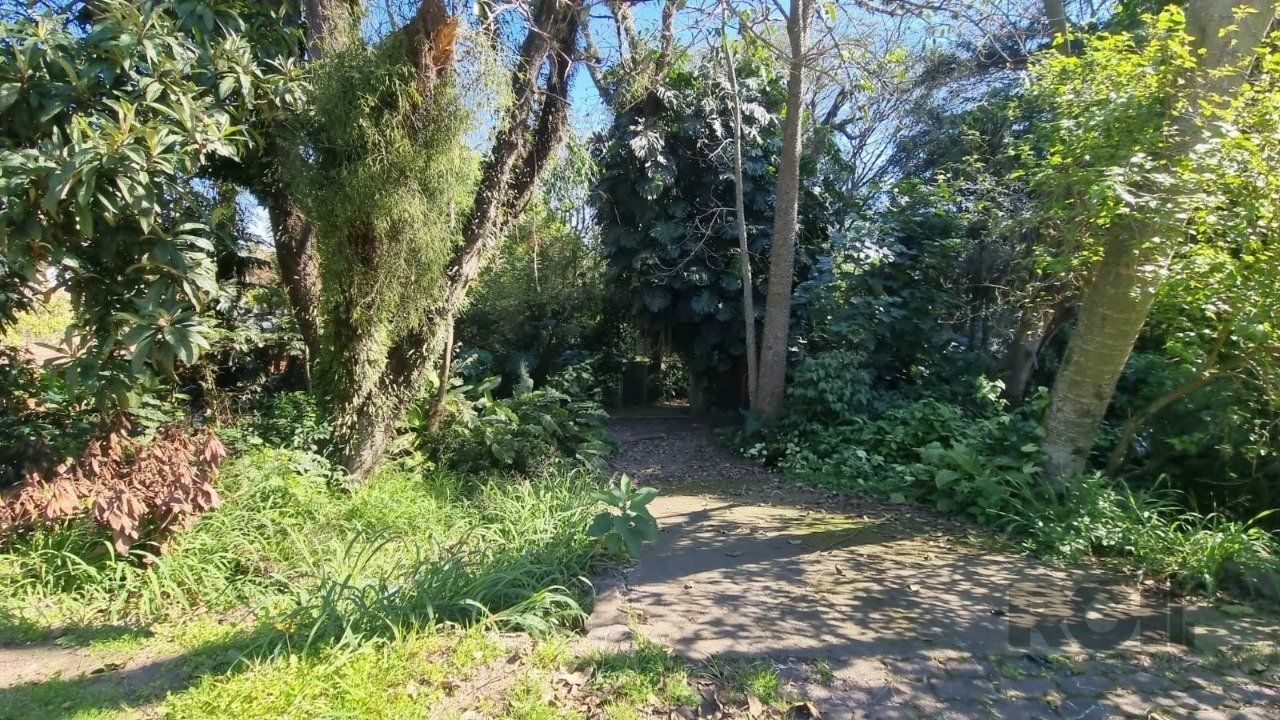 Terreno, 2500 m² - Foto 3