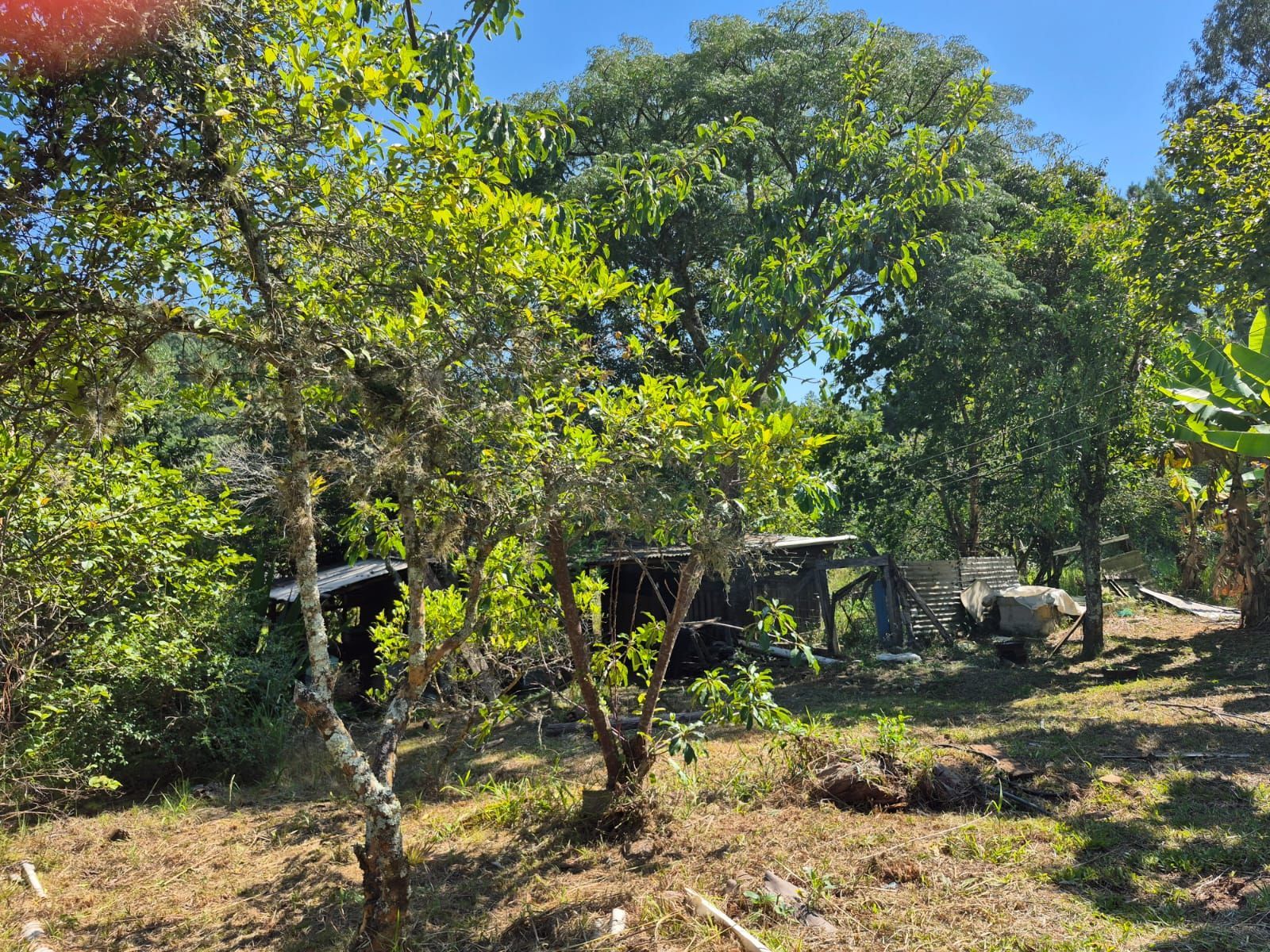 Sítio, 3 quartos, 3000 m² - Foto 27