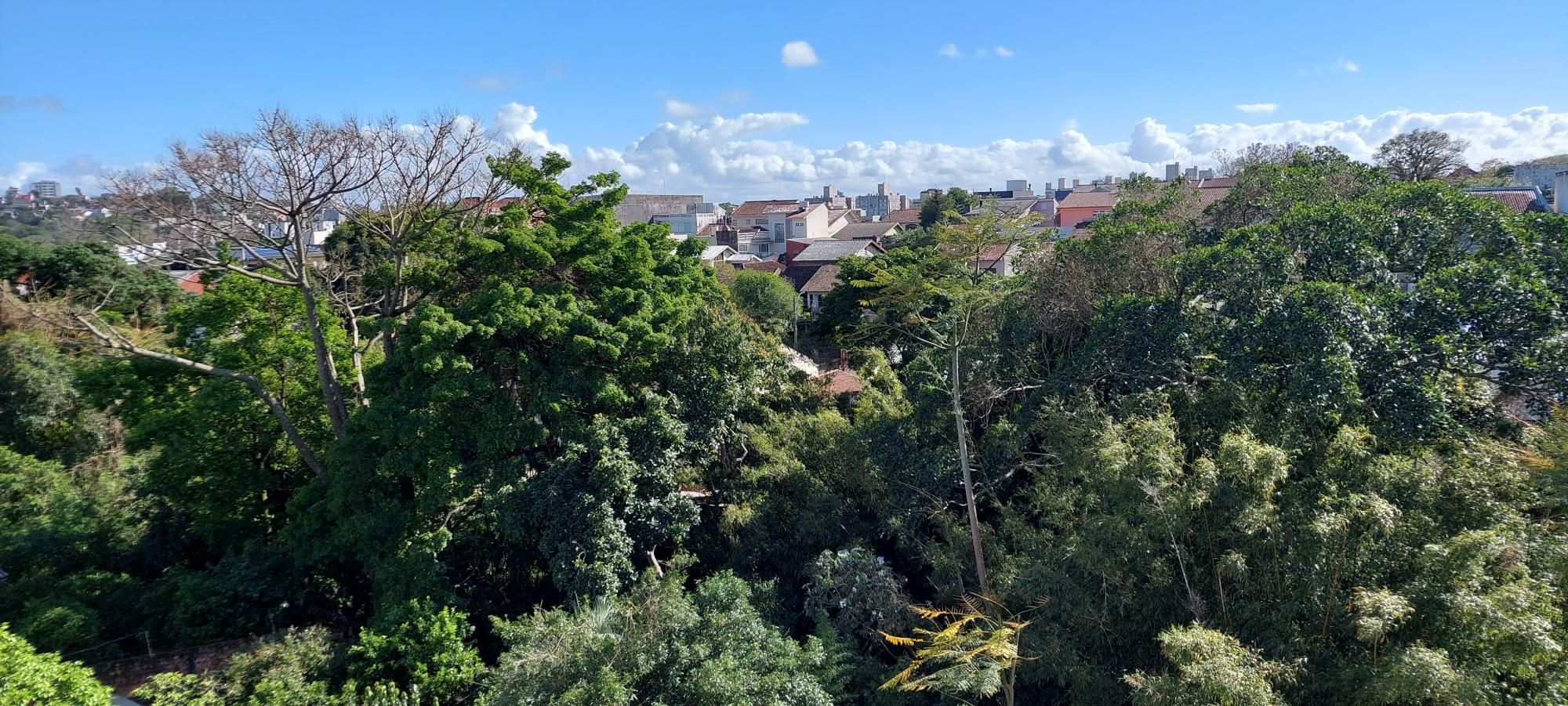 Apartamento, 3 quartos, 114 m² - Foto 19