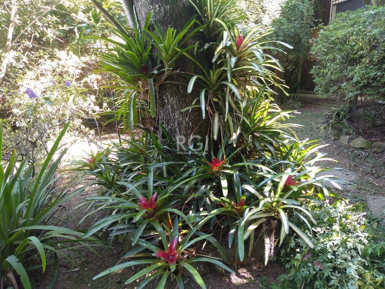 Casa à venda com 13 quartos, 6660m² - Foto 12