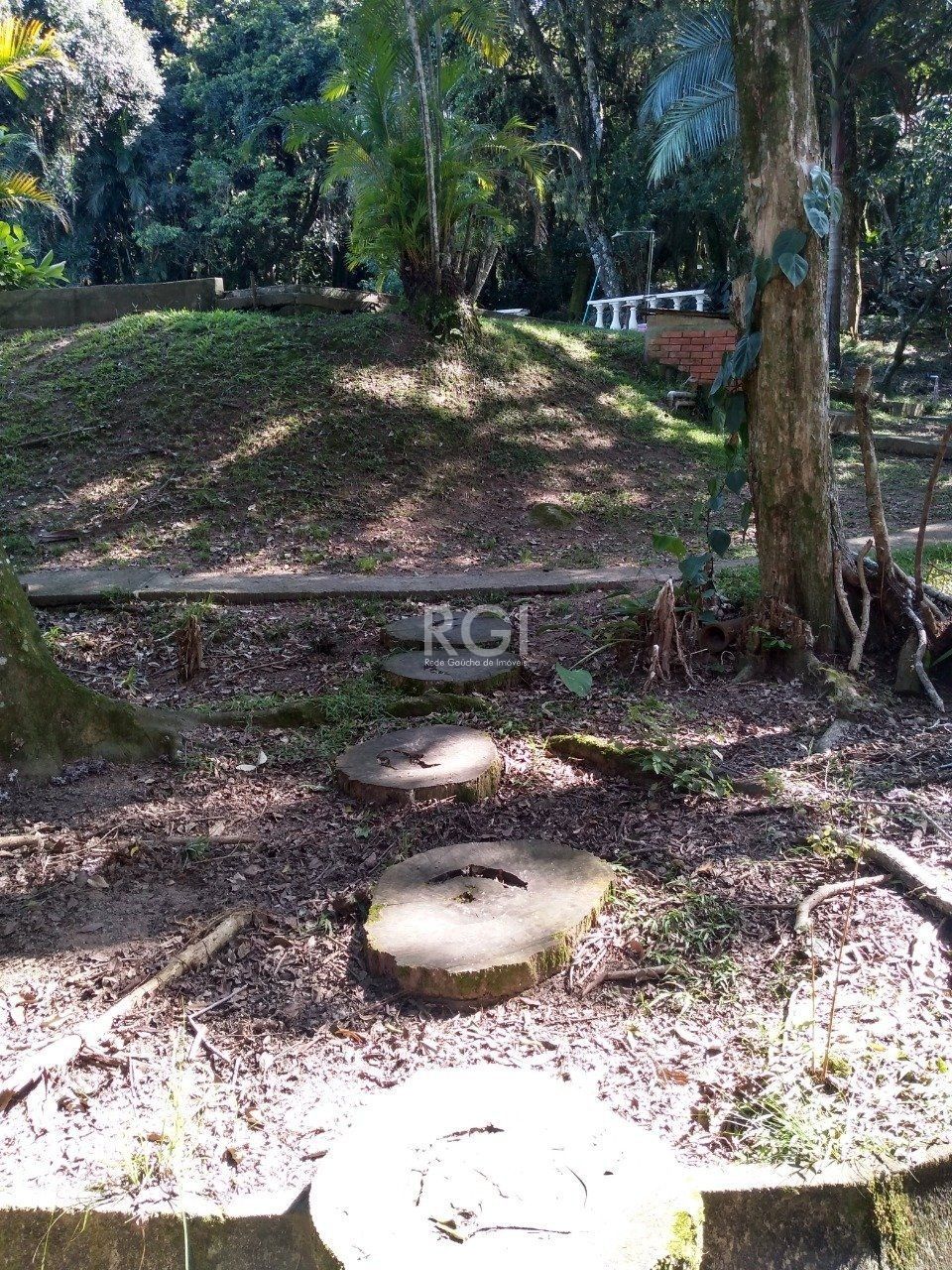 Casa à venda com 13 quartos, 6660m² - Foto 10