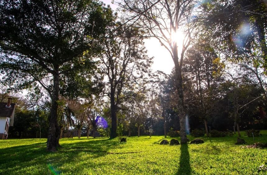 Sítio, 2 quartos, à venda, 300 m², Belém Velho - Porto Alegre — foto 2
