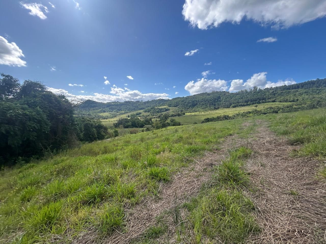 Terreno, 29 hectares - Foto 5