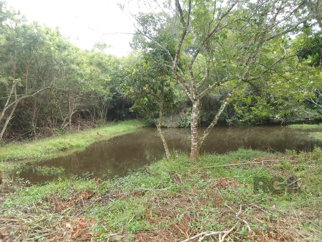 Sítio, 3 quartos, 6 hectares - Foto 35