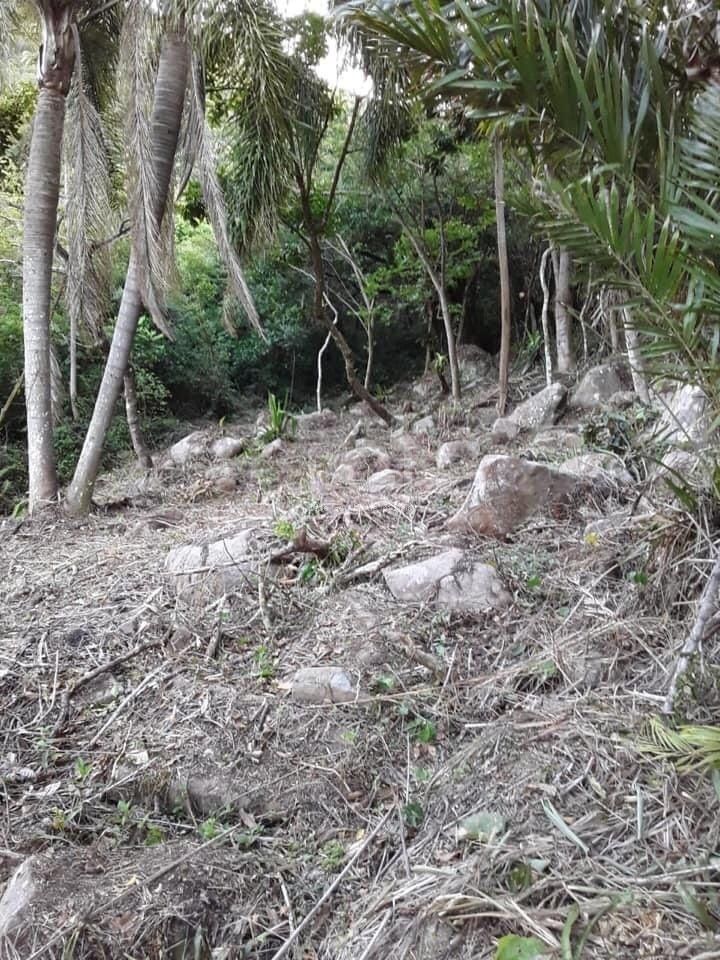 Terreno, 973 m² - Foto 8