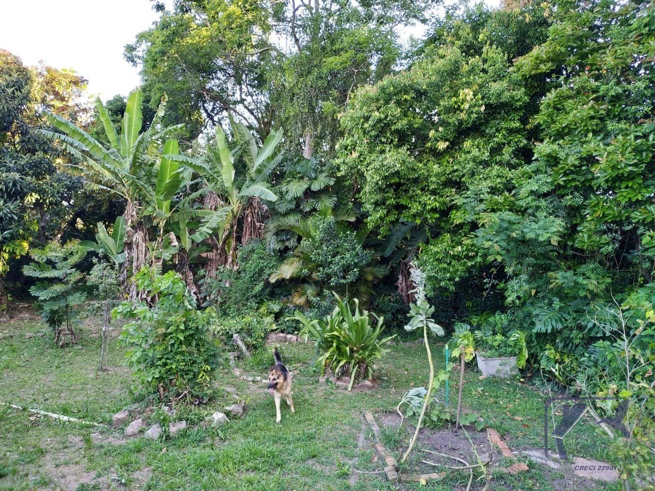 Casa, 3 quartos, 318 m² - Foto 39