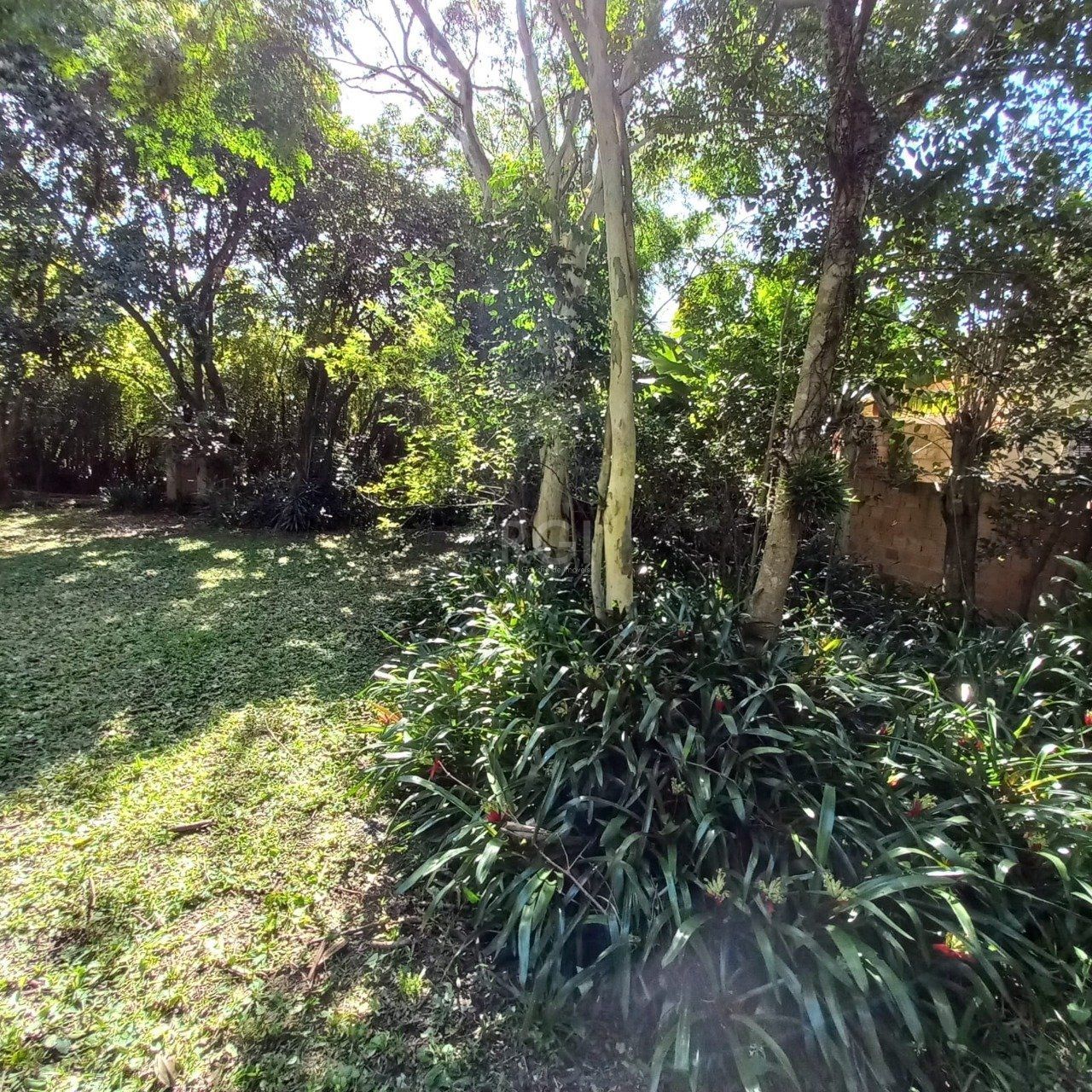 Terreno, 520 m² - Foto 9