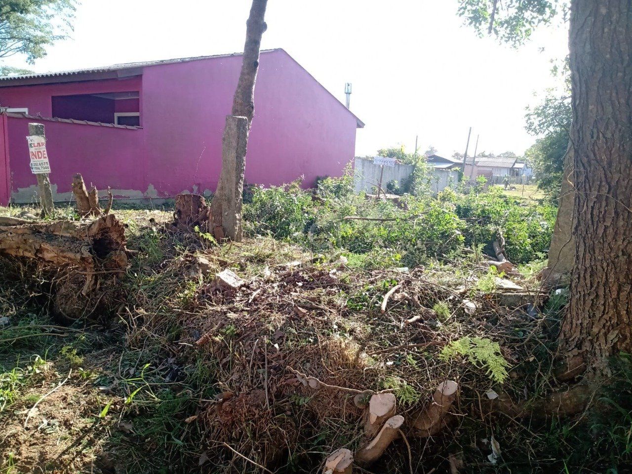 Terreno, 300 m² - Foto 19