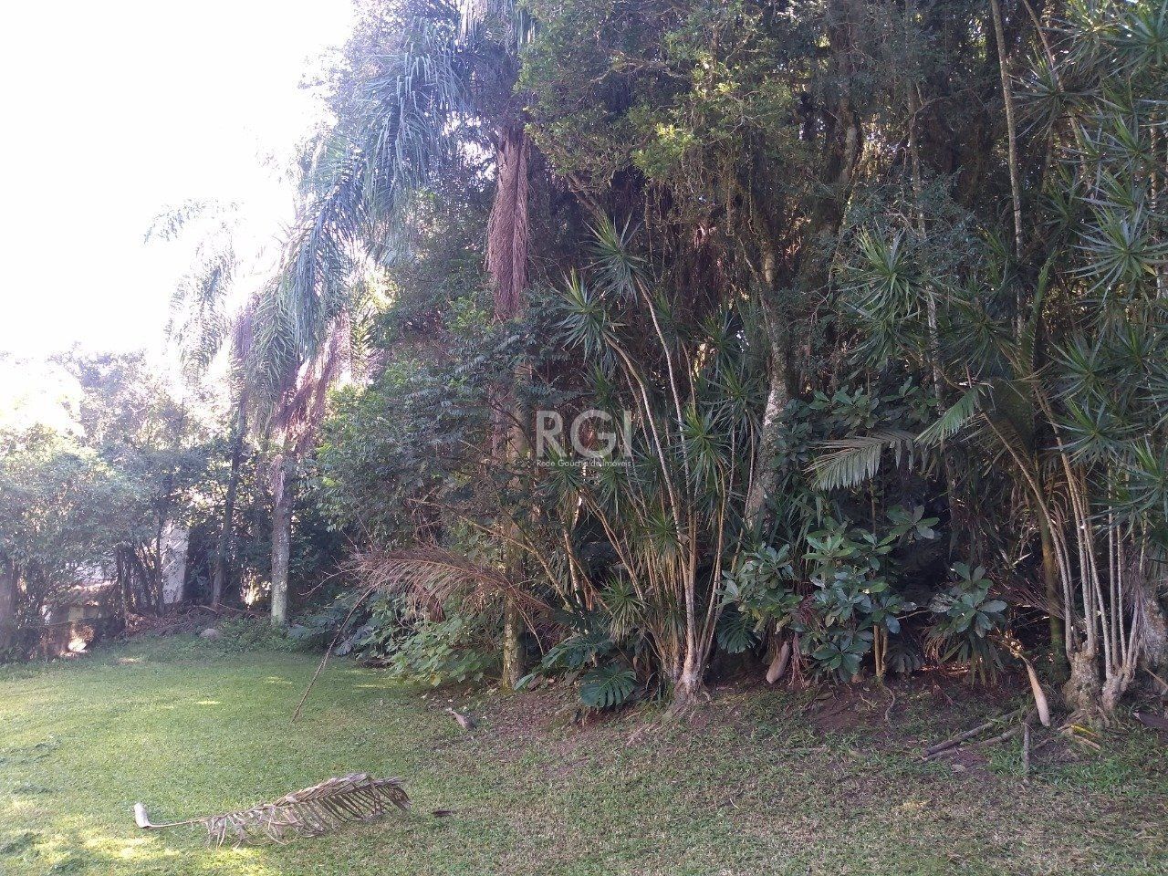 Casa à venda com 13 quartos, 6660m² - Foto 7