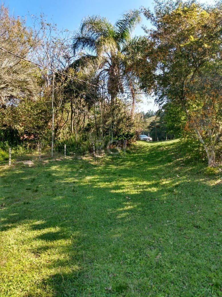 Terreno, 4 hectares - Foto 7