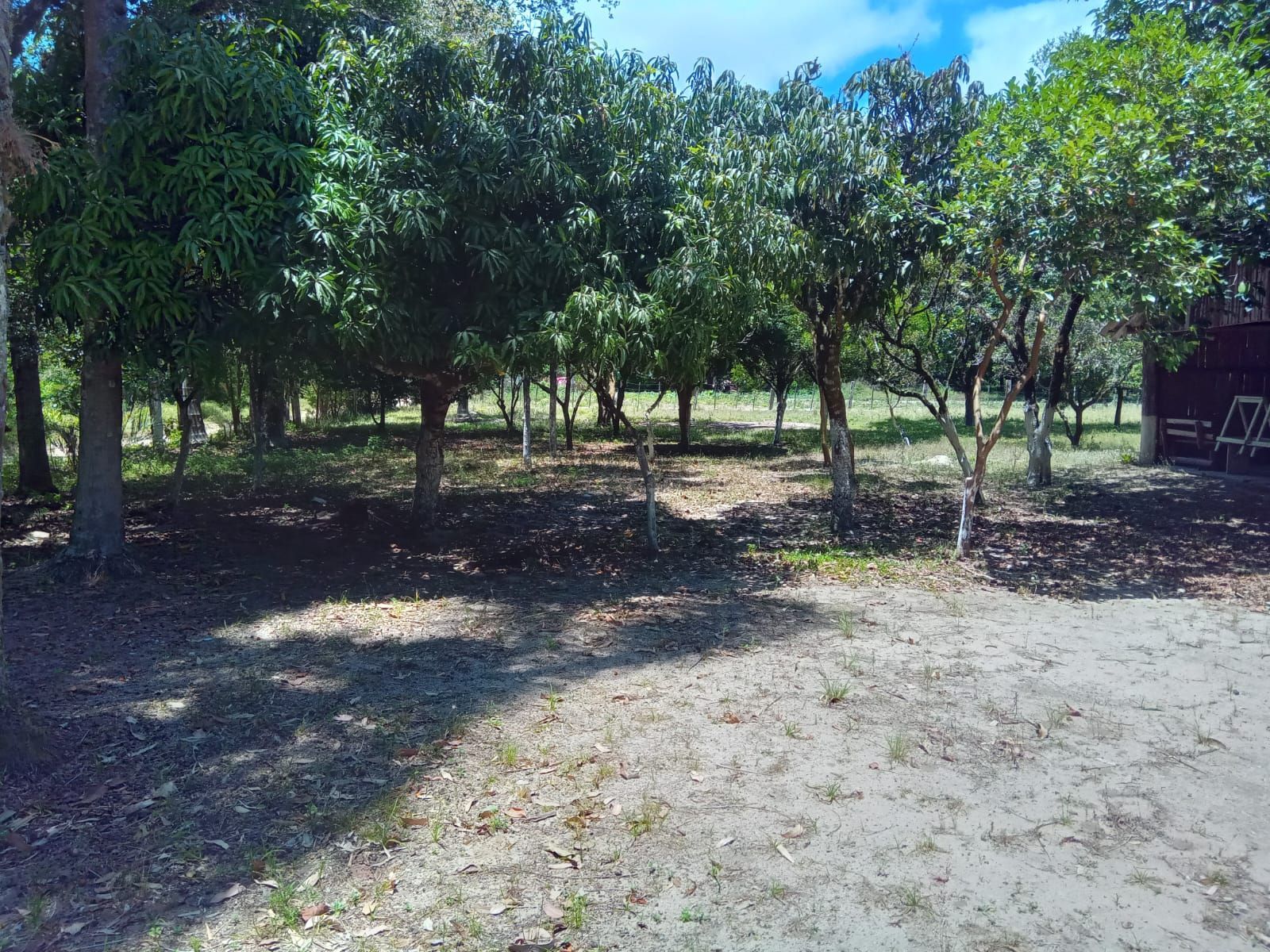 Sítio, 3 quartos, 1 hectares - Foto 24