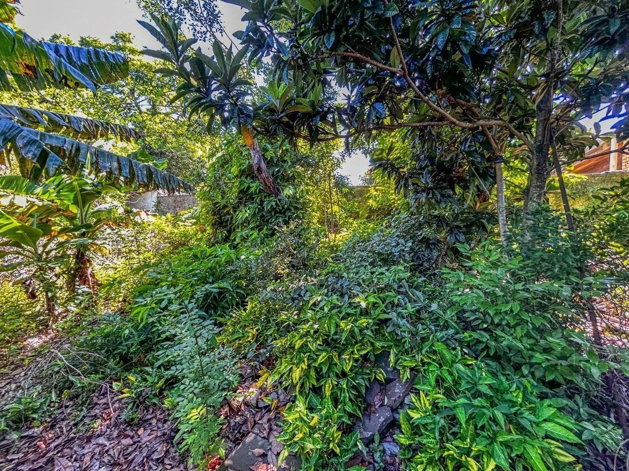 Terreno, 1045 m² - Foto 11