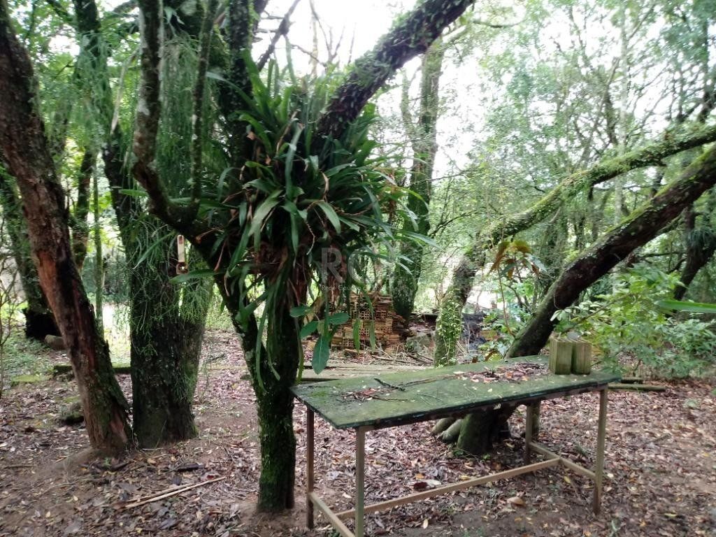 Sítio à venda com 3 quartos, 300m² - Foto 29