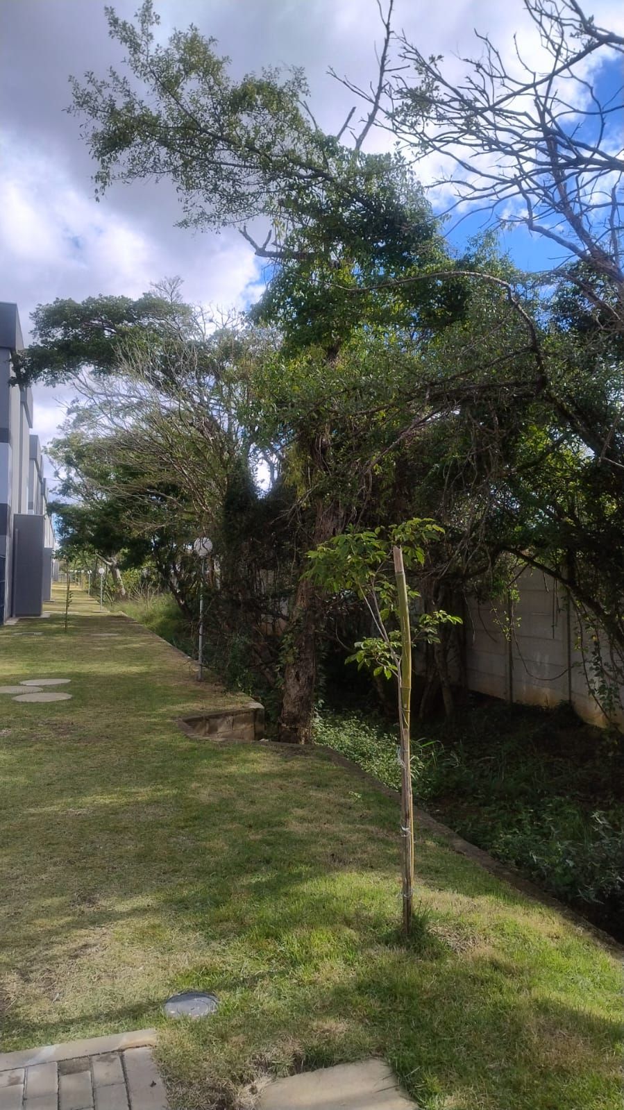 Apartamento, 2 quartos, 90 m² - Foto 40