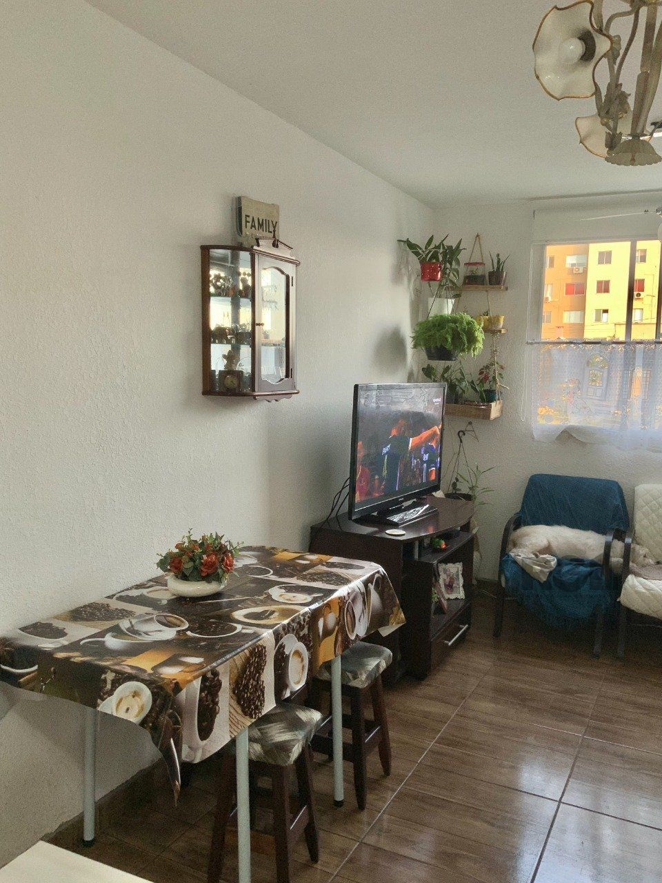 Apartamento à venda com 2 quartos, 41m² - Foto 4