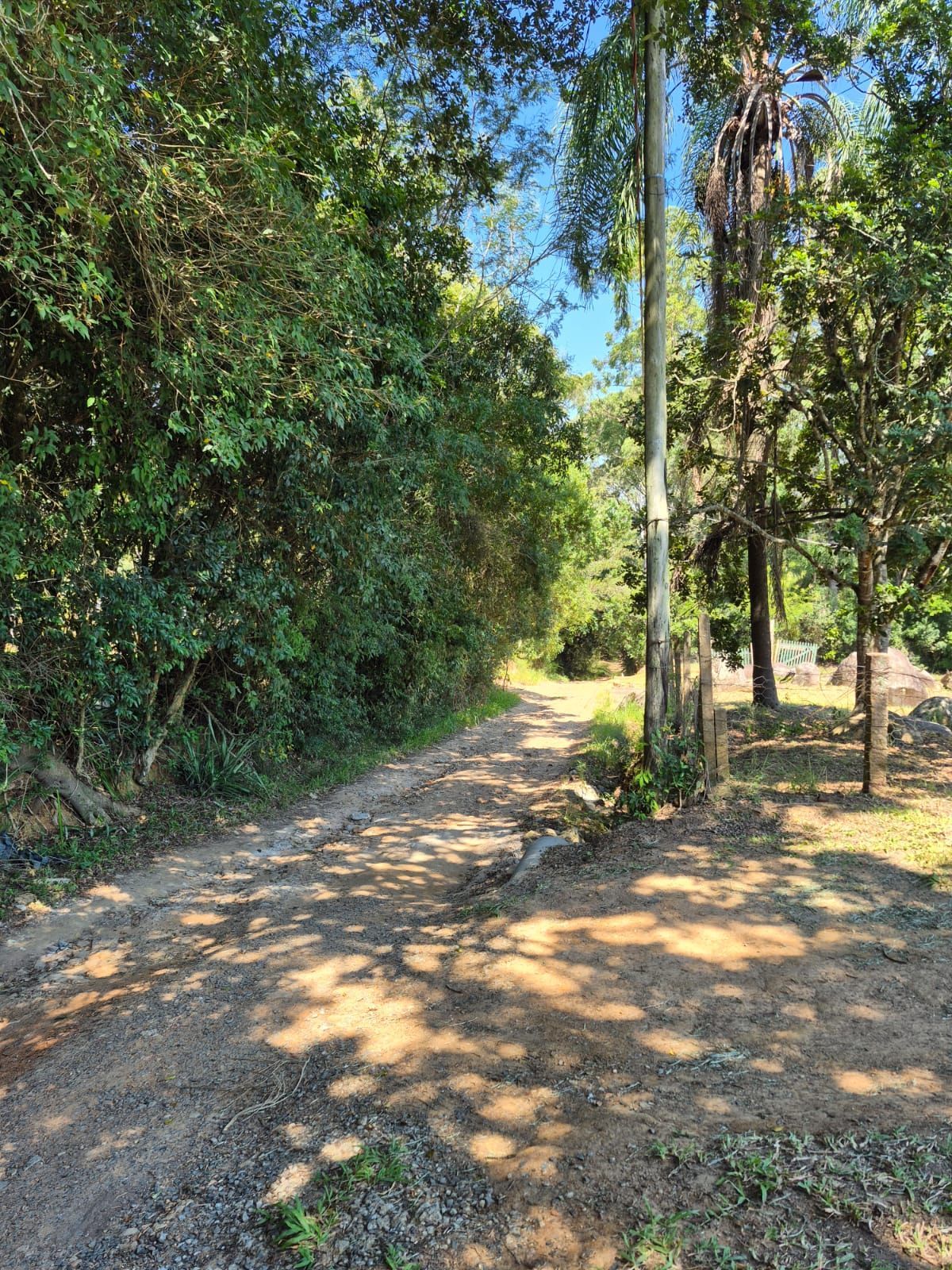 Sítio, 3 quartos, 3000 m² - Foto 31