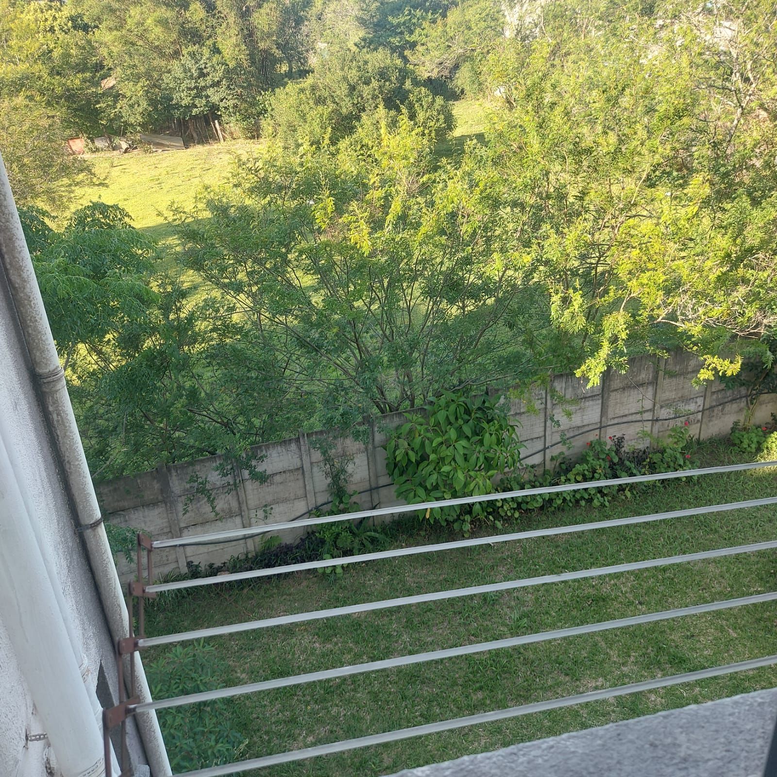 Apartamento, 2 quartos, 38 m² - Foto 18