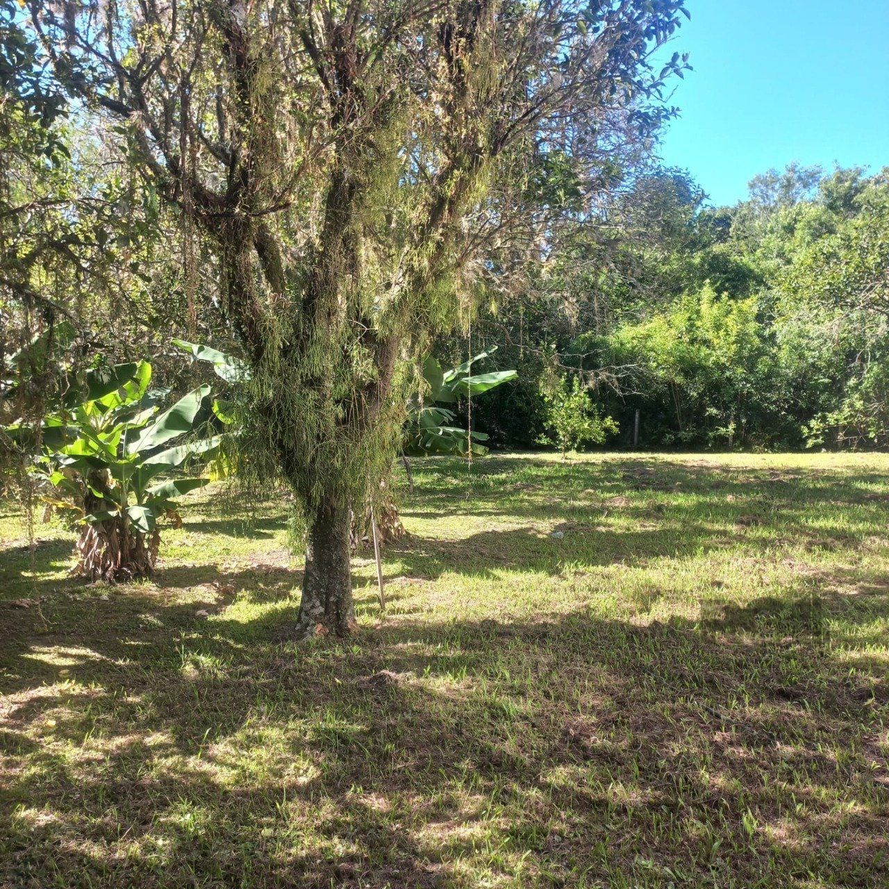 Sítio, 3 quartos, 6 hectares - Foto 34