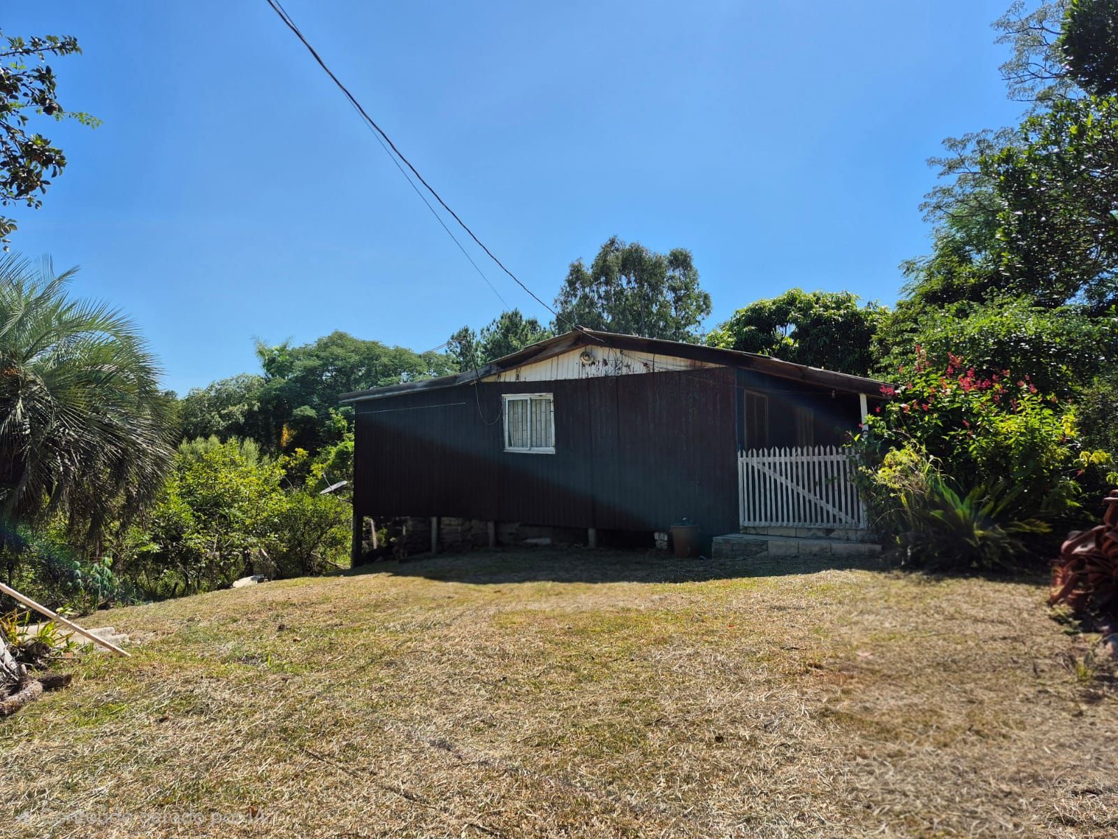 Sítio, 3 quartos, 3000 m² - Foto 3