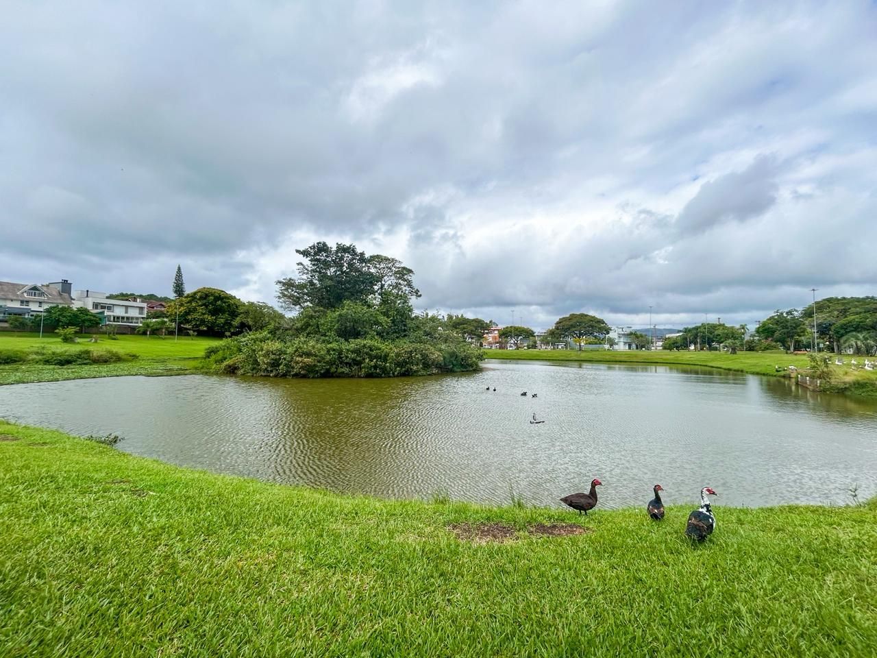 Casa, 3 quartos, 250 m² - Foto 39