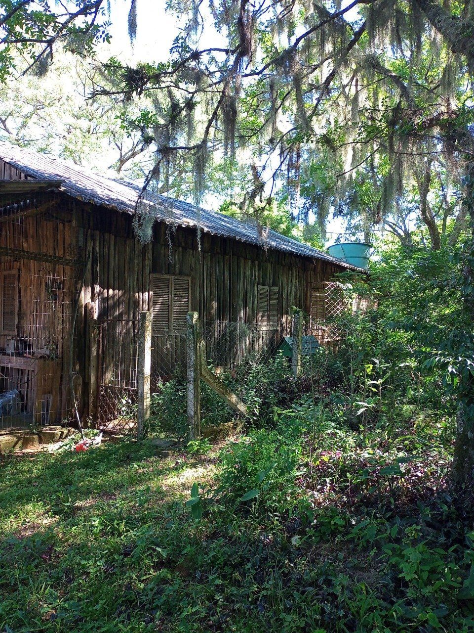 Sítio à venda com 2 quartos, 20010m² - Foto 64