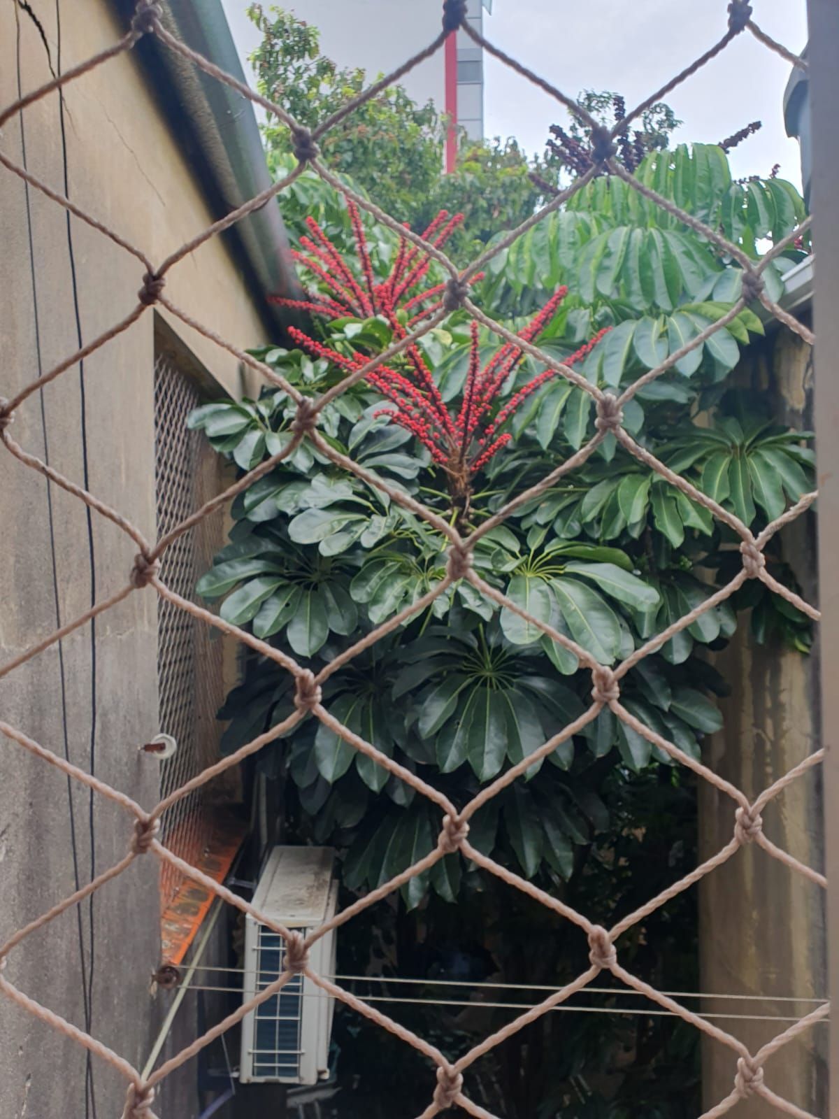 Apartamento, 3 quartos, 67 m² - Foto 23