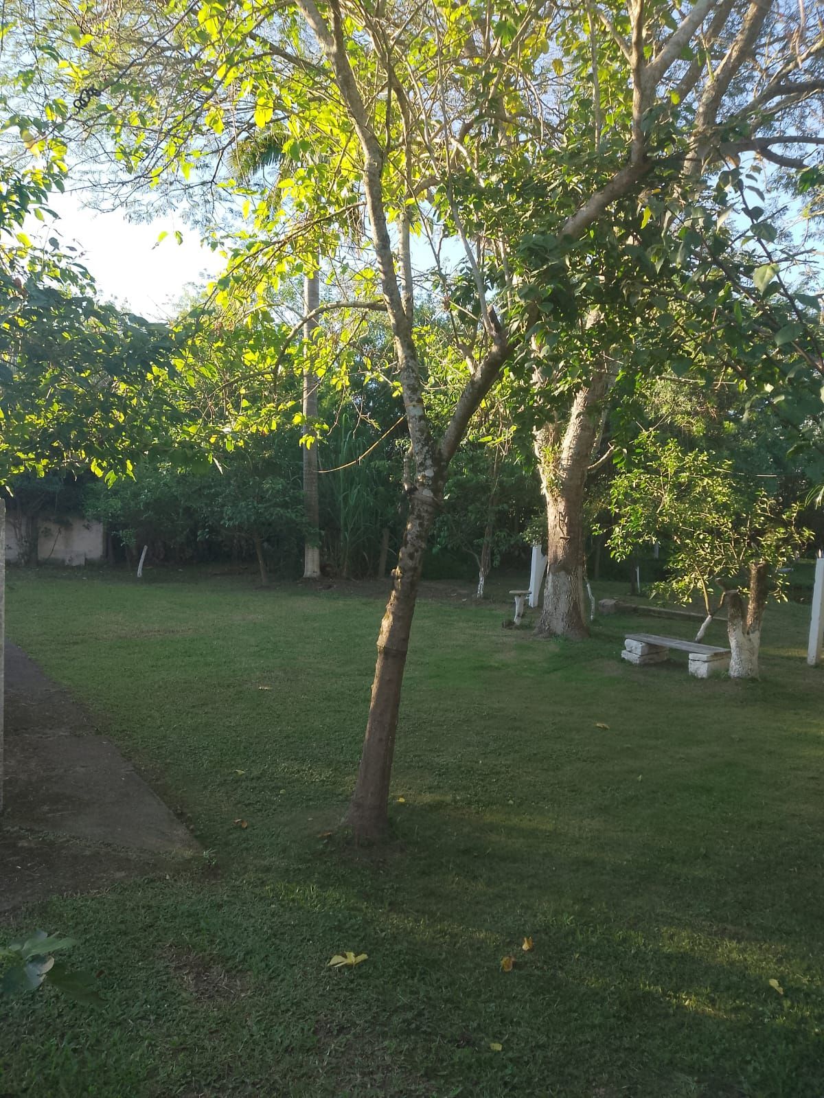 Chácara, 4 quartos, 1000 m² - Foto 50