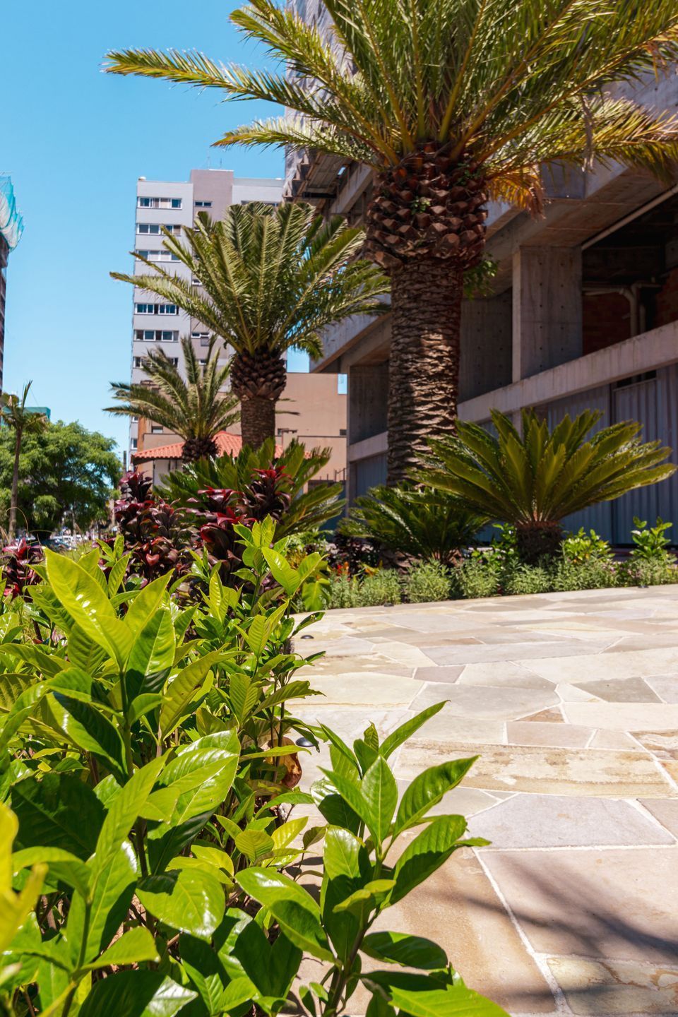 Apartamento à venda com 1 quarto, 50m² - Foto 43