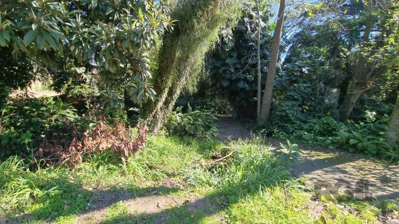 Terreno, 2500 m² - Foto 4