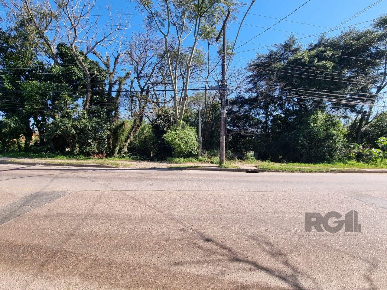 Terreno, 2500 m² - Foto 6