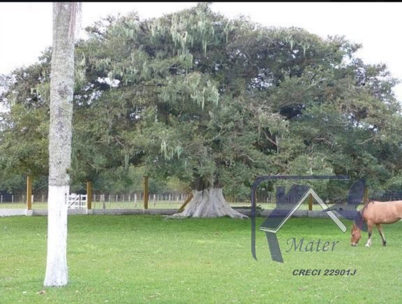 Sítio à venda com 3 quartos, 300m² - Foto 24