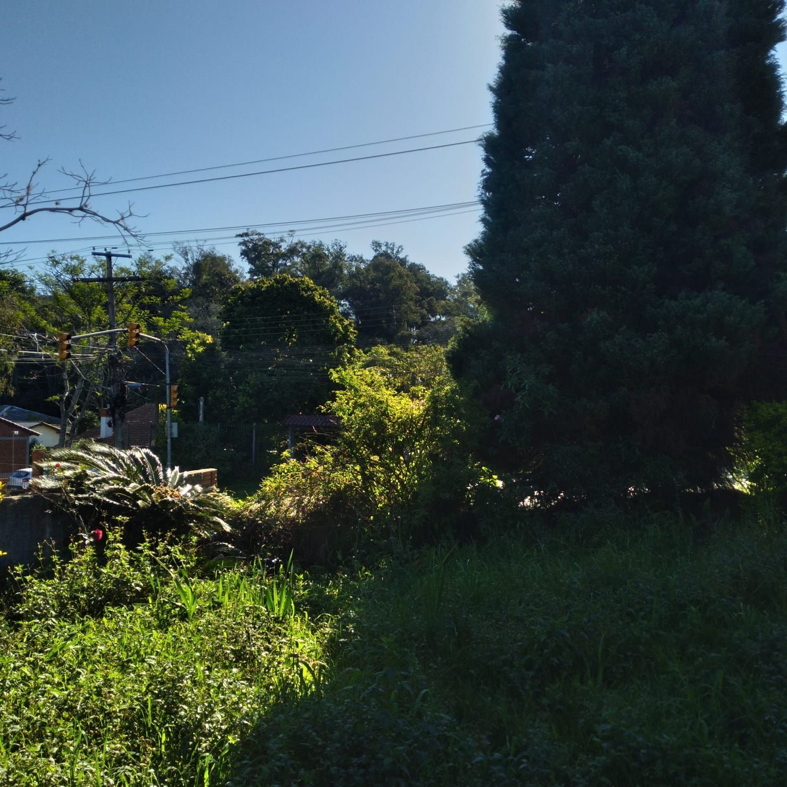 Terreno à venda, 825m² - Foto 16