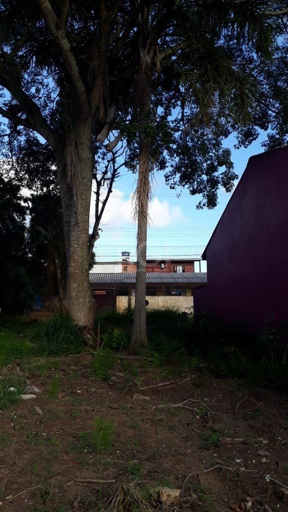 Terreno, 300 m² - Foto 25