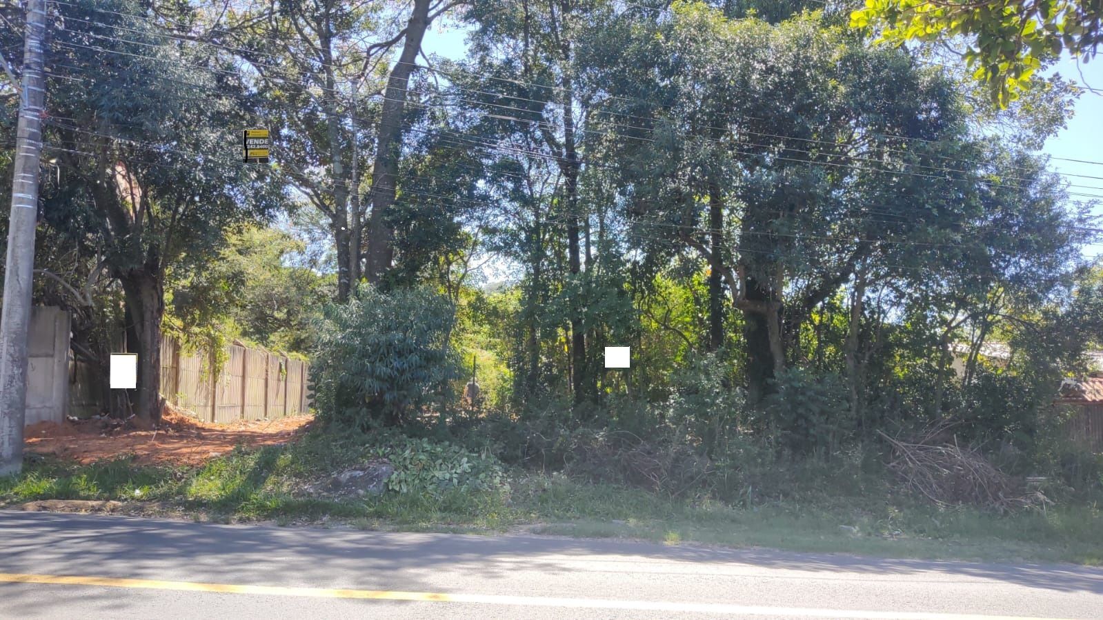 Terreno desocupado em Avenida Asfaltada !