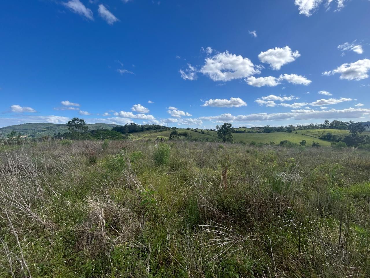 Terreno, 29 hectares - Foto 10