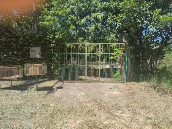 Terreno, 1943 m² - Foto 14