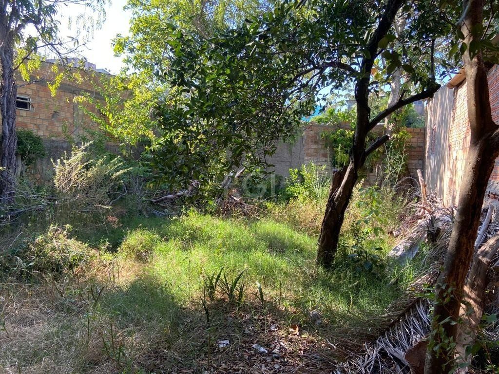 Casa à venda com 2 quartos, 32m² - Foto 6
