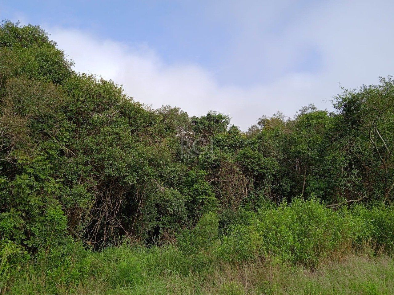 Terreno, 4950 m² - Foto 8