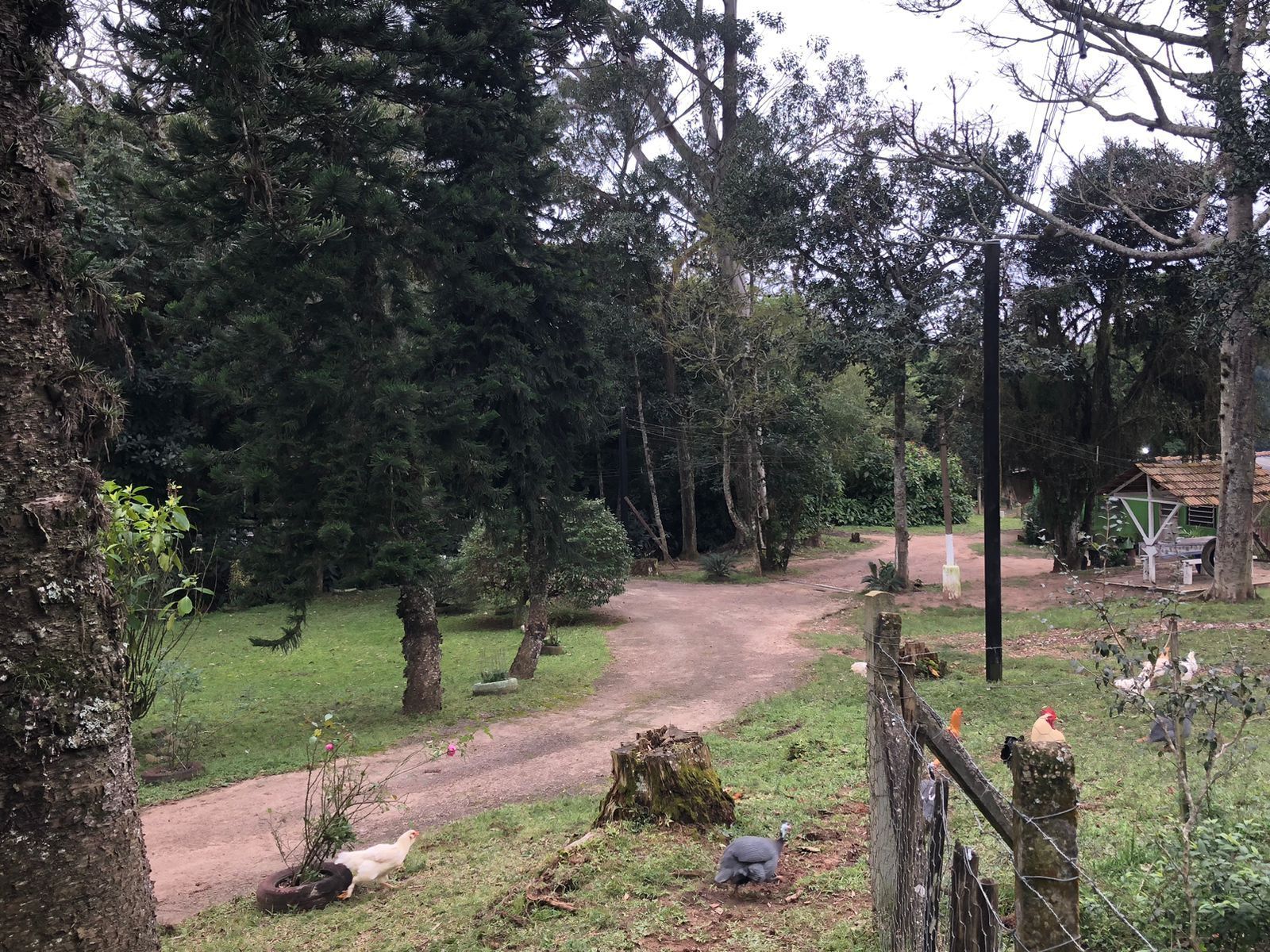 Sítio à venda com 1 quarto, 121672m² - Foto 1