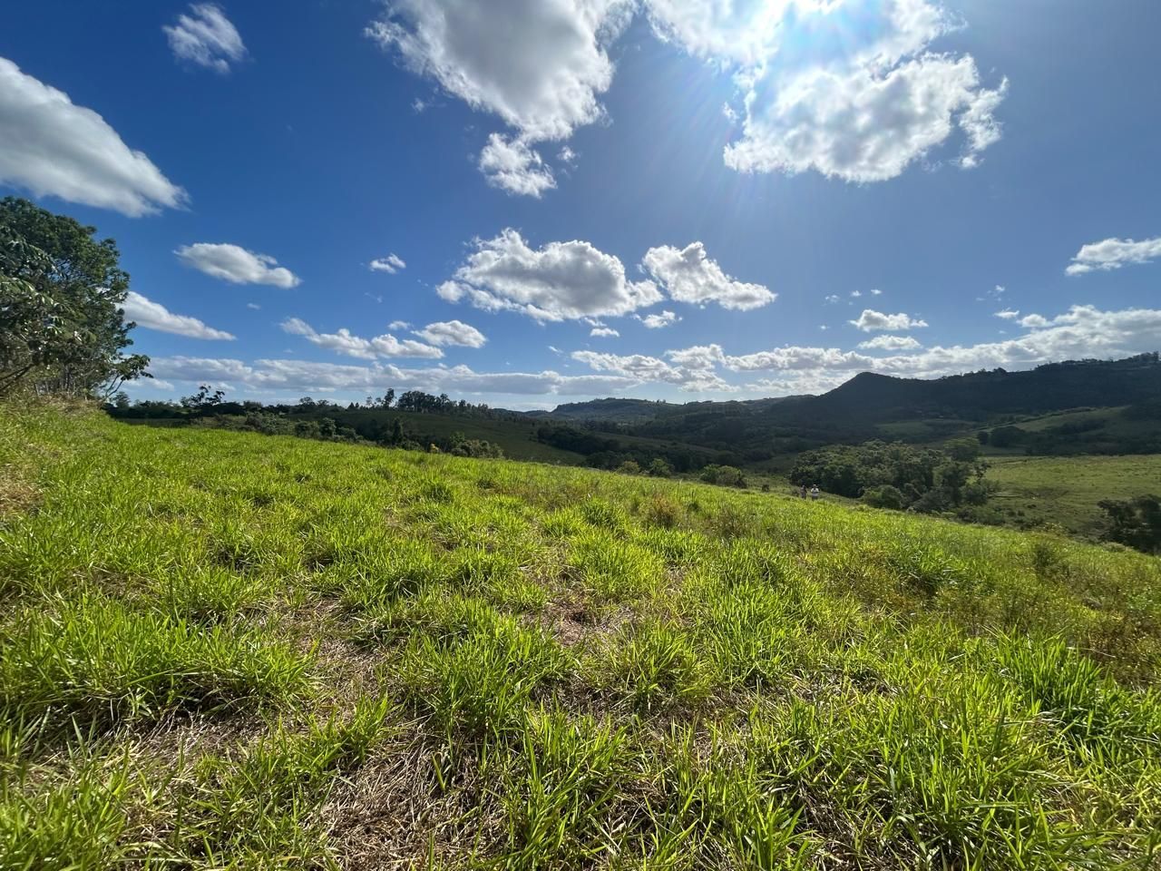 Terreno, 29 hectares - Foto 2