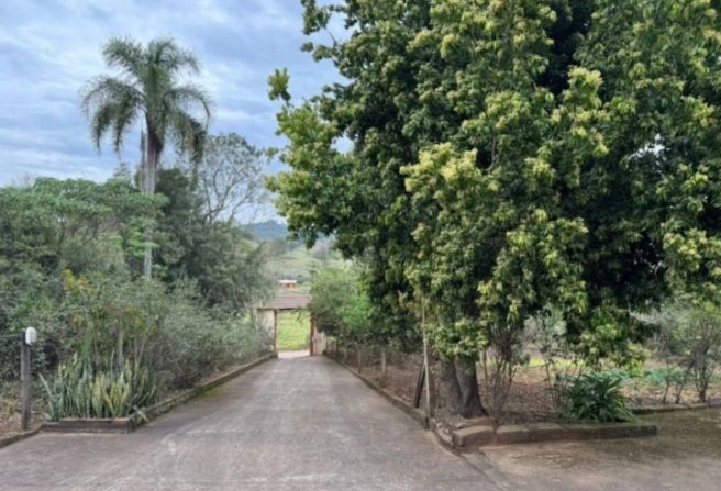 Chácara, 2 quartos, 2 hectares - Foto 7