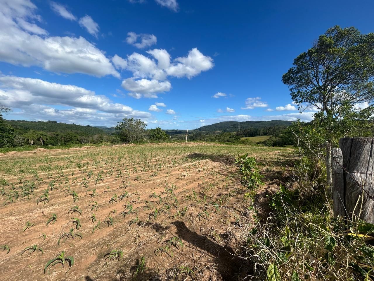 Terreno, 29 hectares - Foto 13