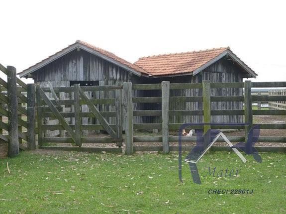 Sítio à venda com 3 quartos, 300m² - Foto 4