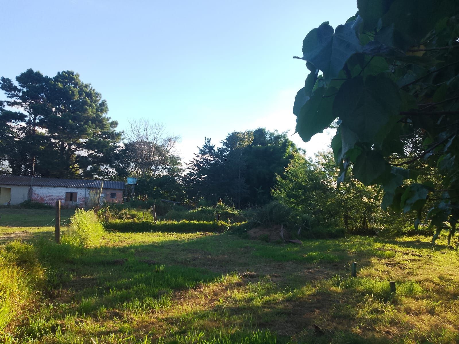 Chácara, 4 quartos, 1000 m² - Foto 45