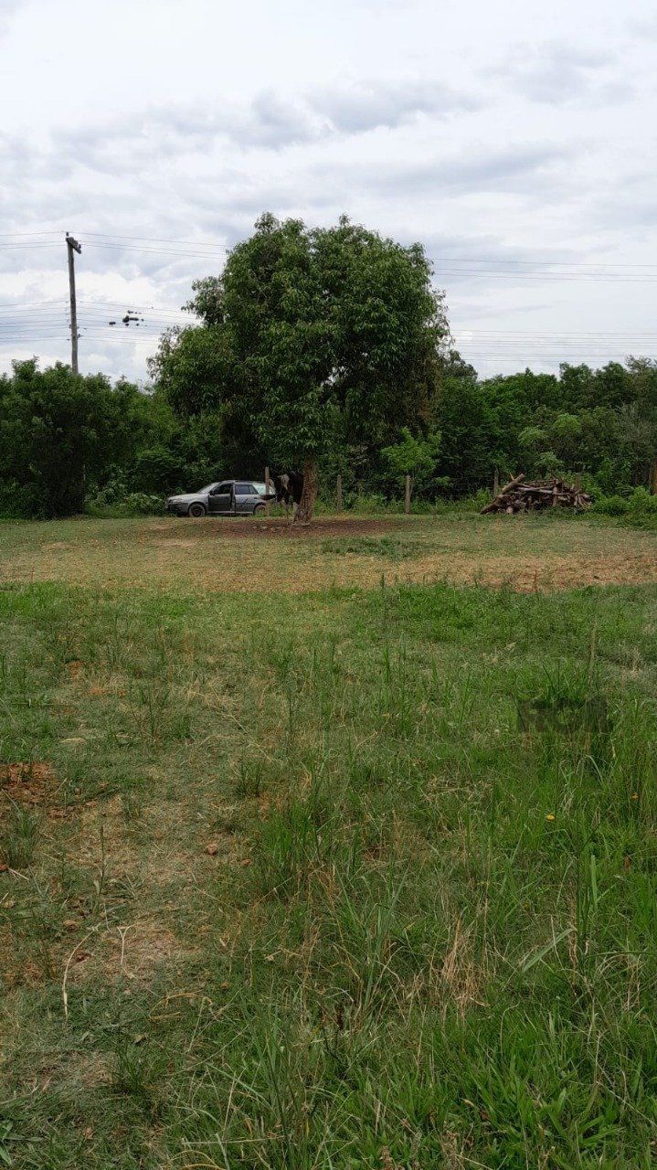 Terreno, 2000 m² - Foto 7